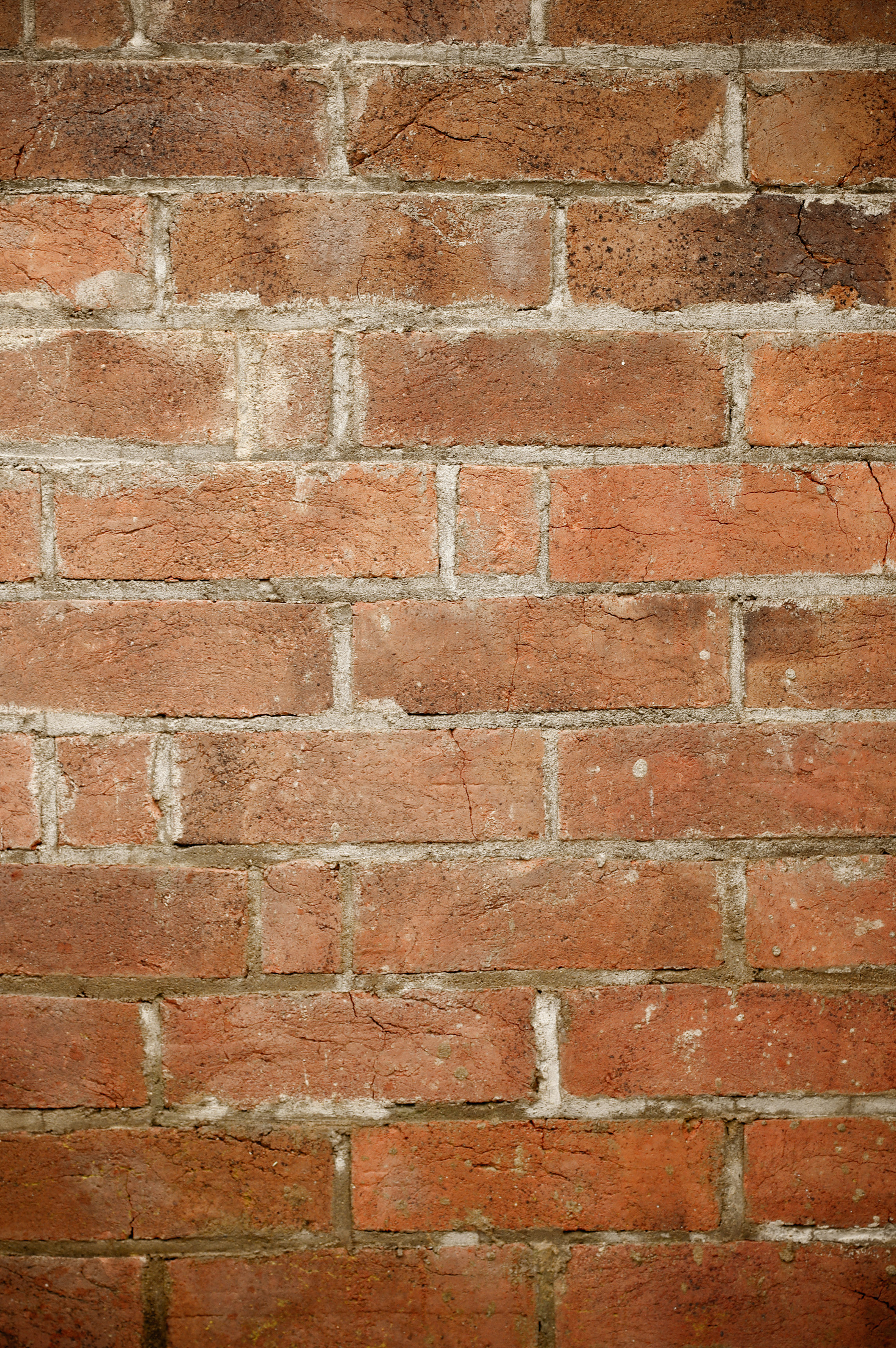 Free Brick Wall Texture Background photo in portrait format | www