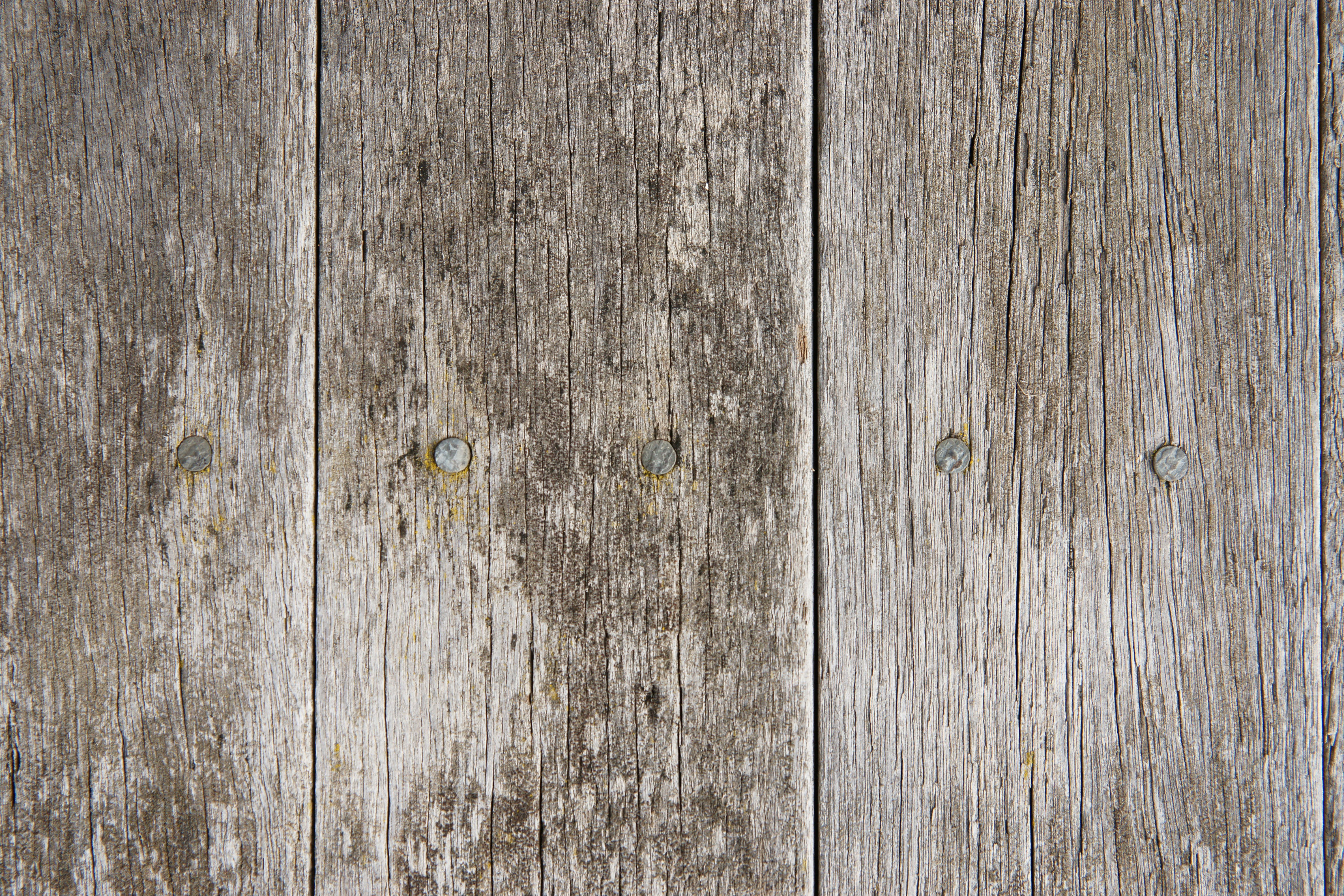 Old Wood Plank Texture Wwwmyfreetexturescom 1500 Free