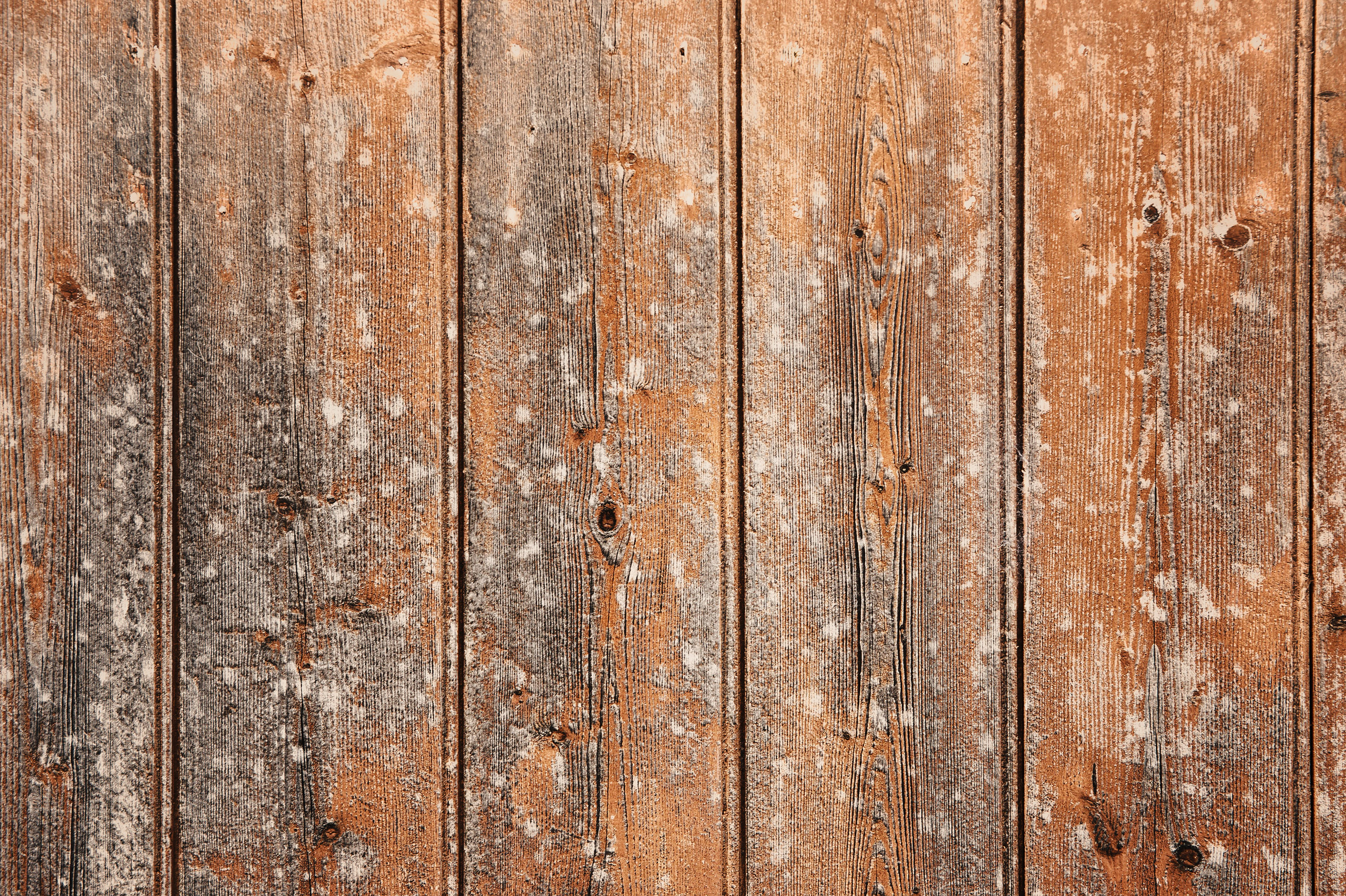 old wooden wall wood background texture | www.myfreetextures.com | Free
