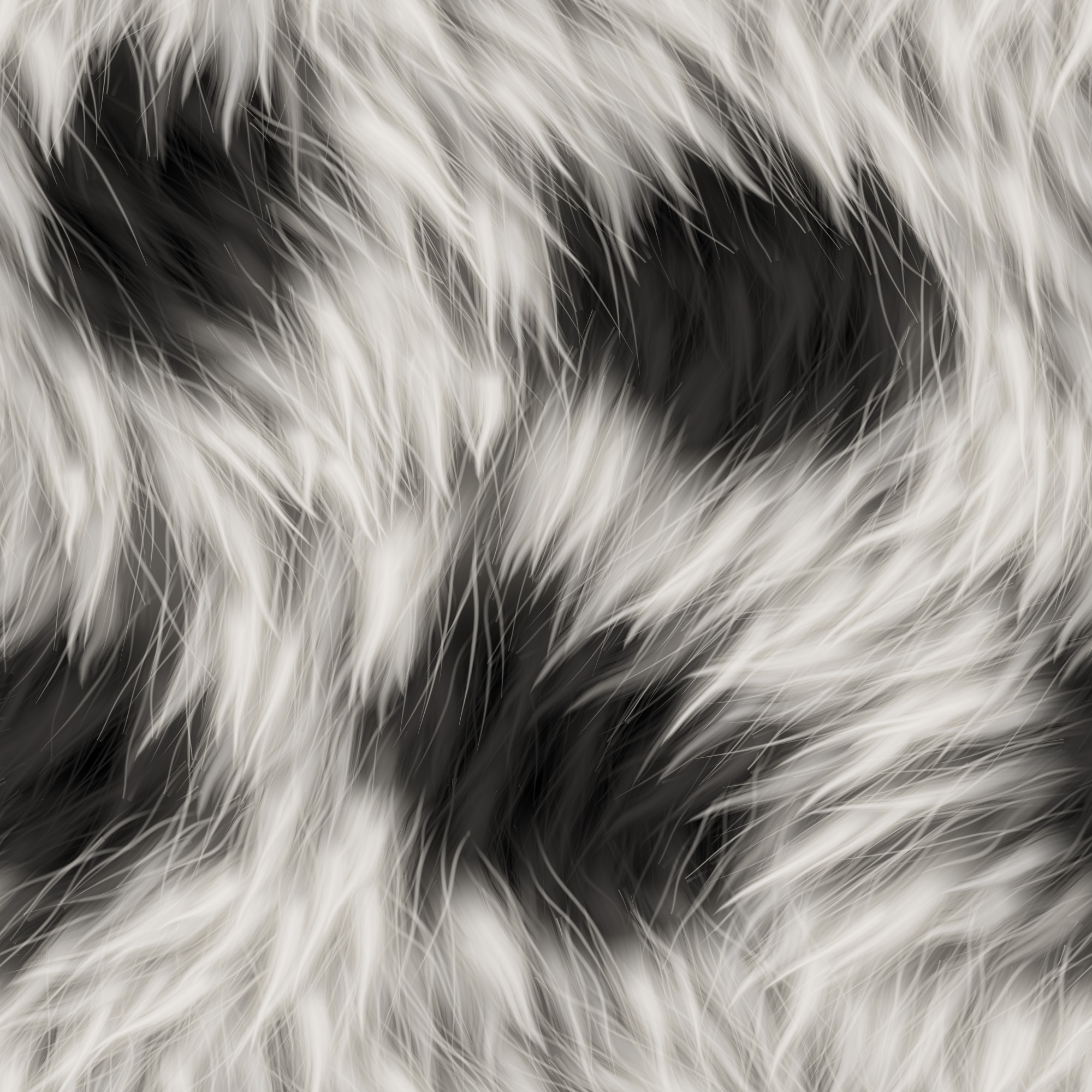 long soft black and white fur texture Free Textures, Photos
