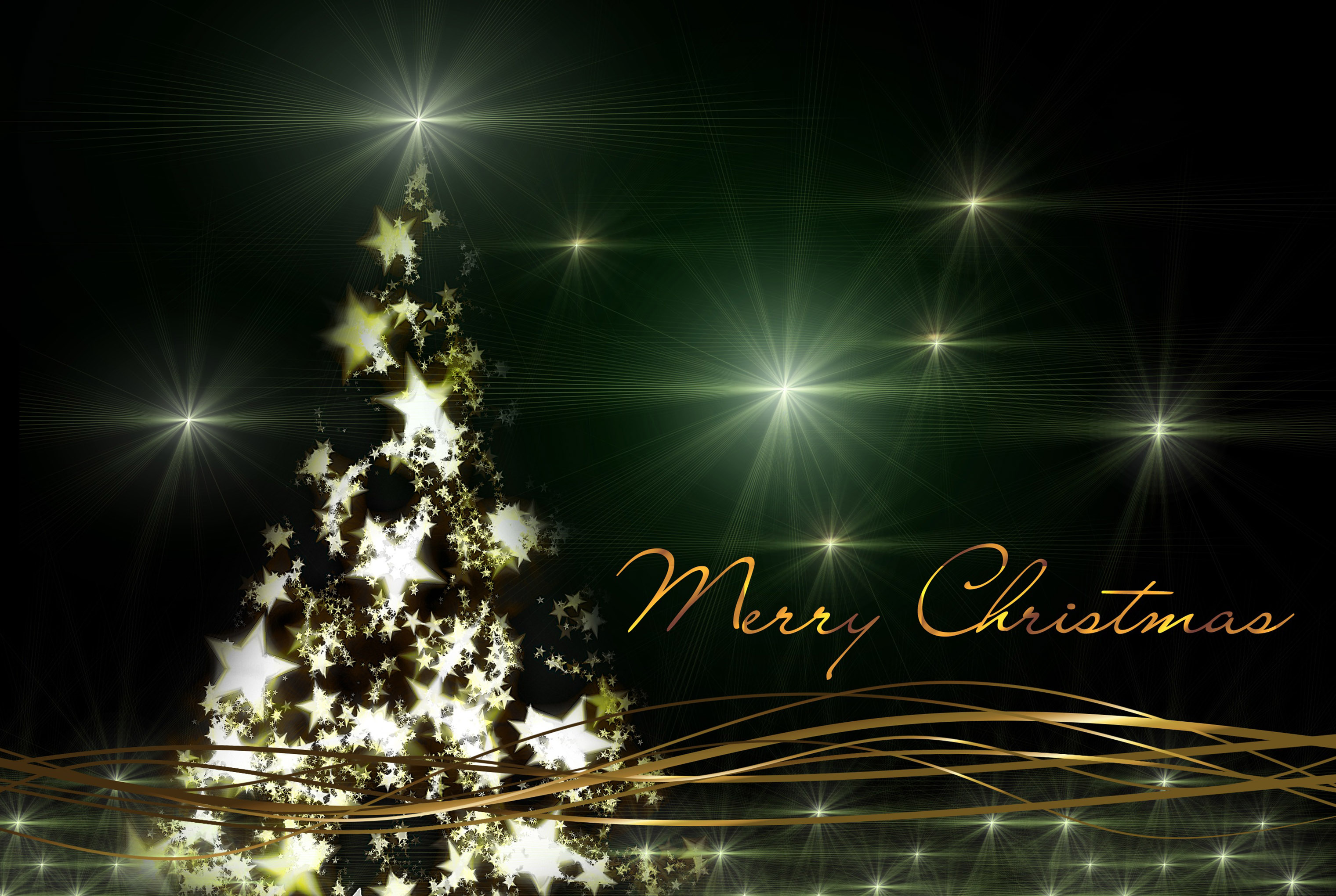 23 Christmas Tree Related Wallpapers, Background Images and Photos