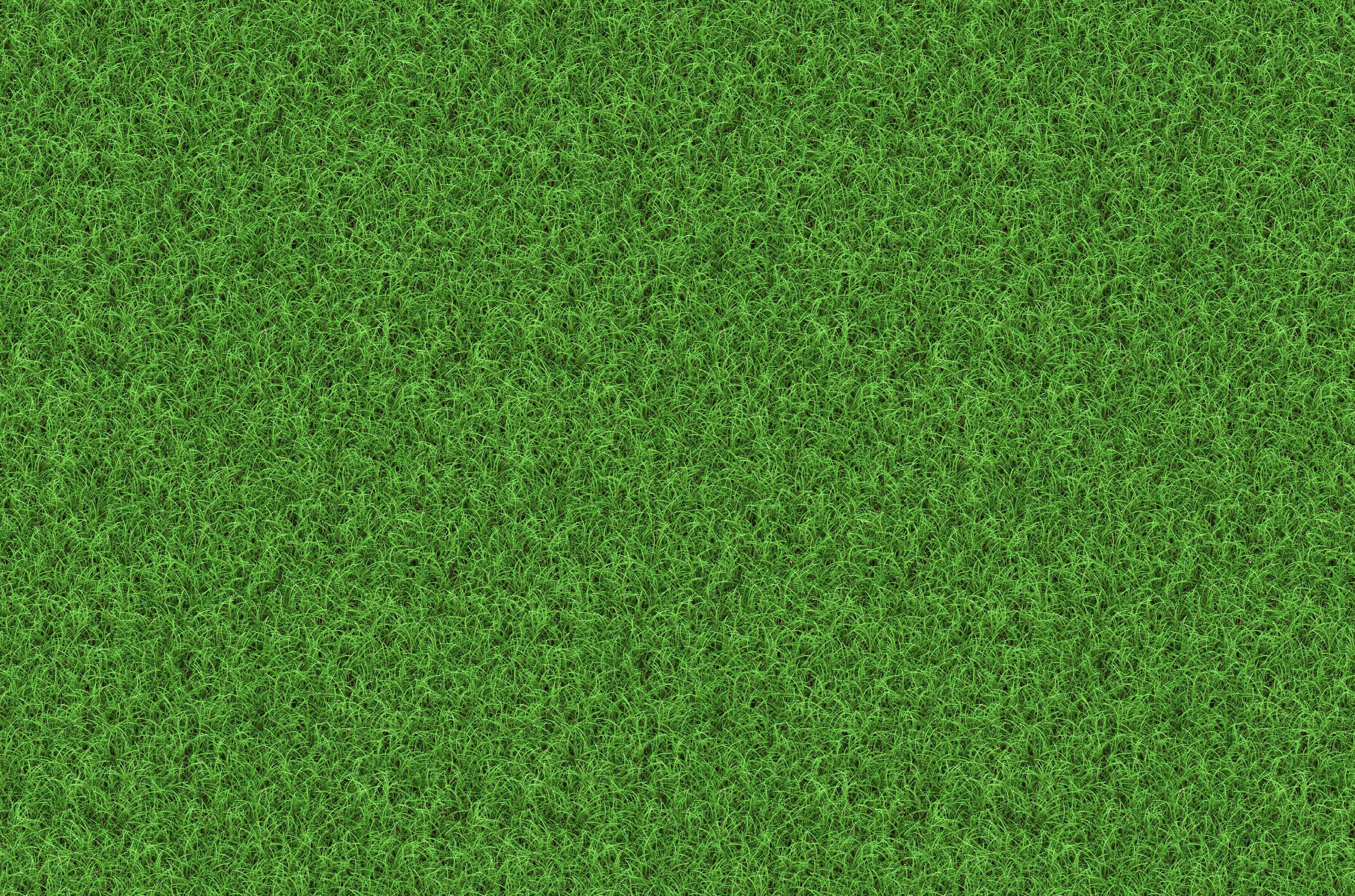 Seven Free Grass Textures or Lawn Background Images | www