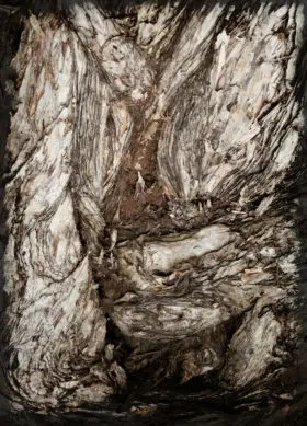 Tree bark abstract background