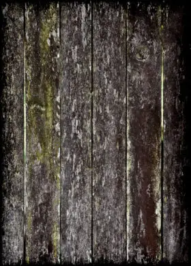 Another grunge wood fence background texture photo