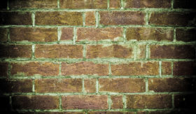 grunge greenish brick wall background texture