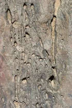free old weathered rock stone background texture