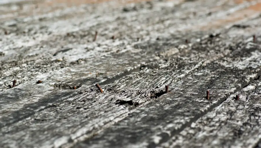 Old rotting planks or floorboards with rusty nails