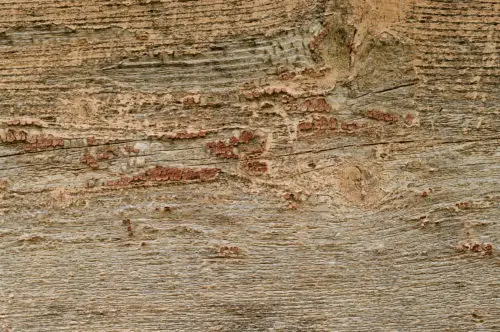 rough old wood background texture