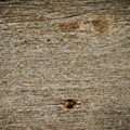 rough old wood background texture