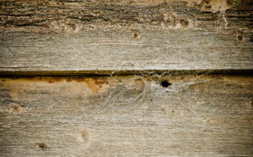 rough old grungy wooden background texture