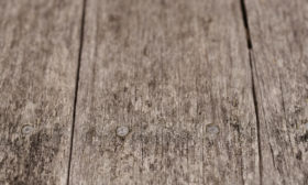 old floorboards wooden background texture closeup photo