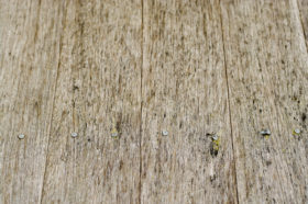 wood texture of some old floorboards wooden background