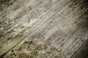 another free old floorboards wooden background texture