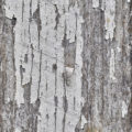 old grungy peeling paint on wood background texture