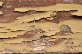 orange peeling paint wood background texture