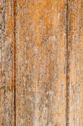 orange painted wooden background wood texture