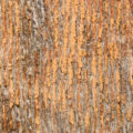 old orange wood background texture