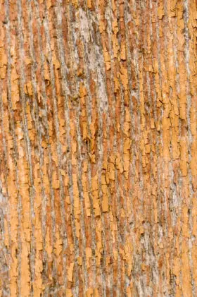 old rough orange wood background with great vertical texture