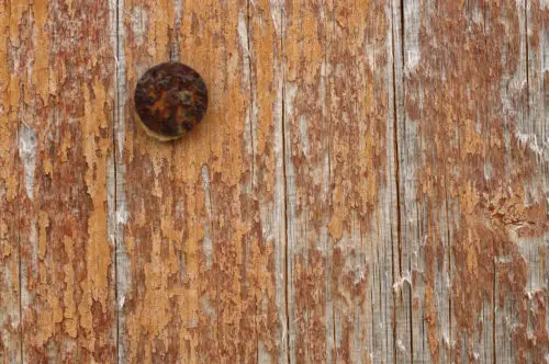 great rough wood background texture with old orange paint