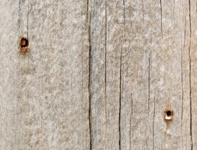another old wood backgrounds / wooden texture