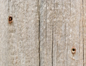 another old wood backgrounds / wooden texture