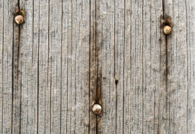 old wood backgrounds / wooden texture