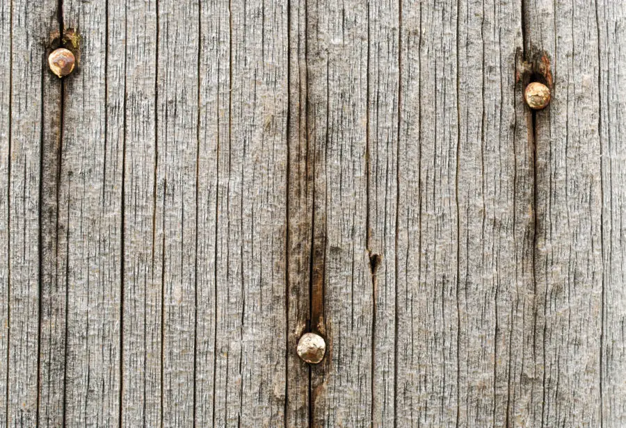 old wood backgrounds / wooden texture