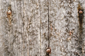 old grungy wooden background texture photo