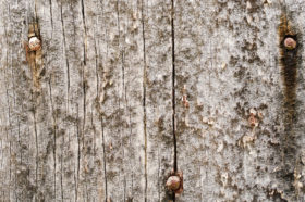 old grungy wood background texture
