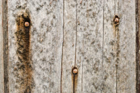 closeup photo of an old grungy wood texture background