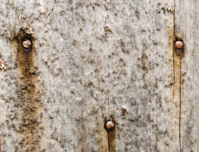 old grungy wooden backgrounds wood texture photo