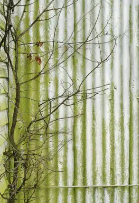 Old grungy corrugated iron metal wall background