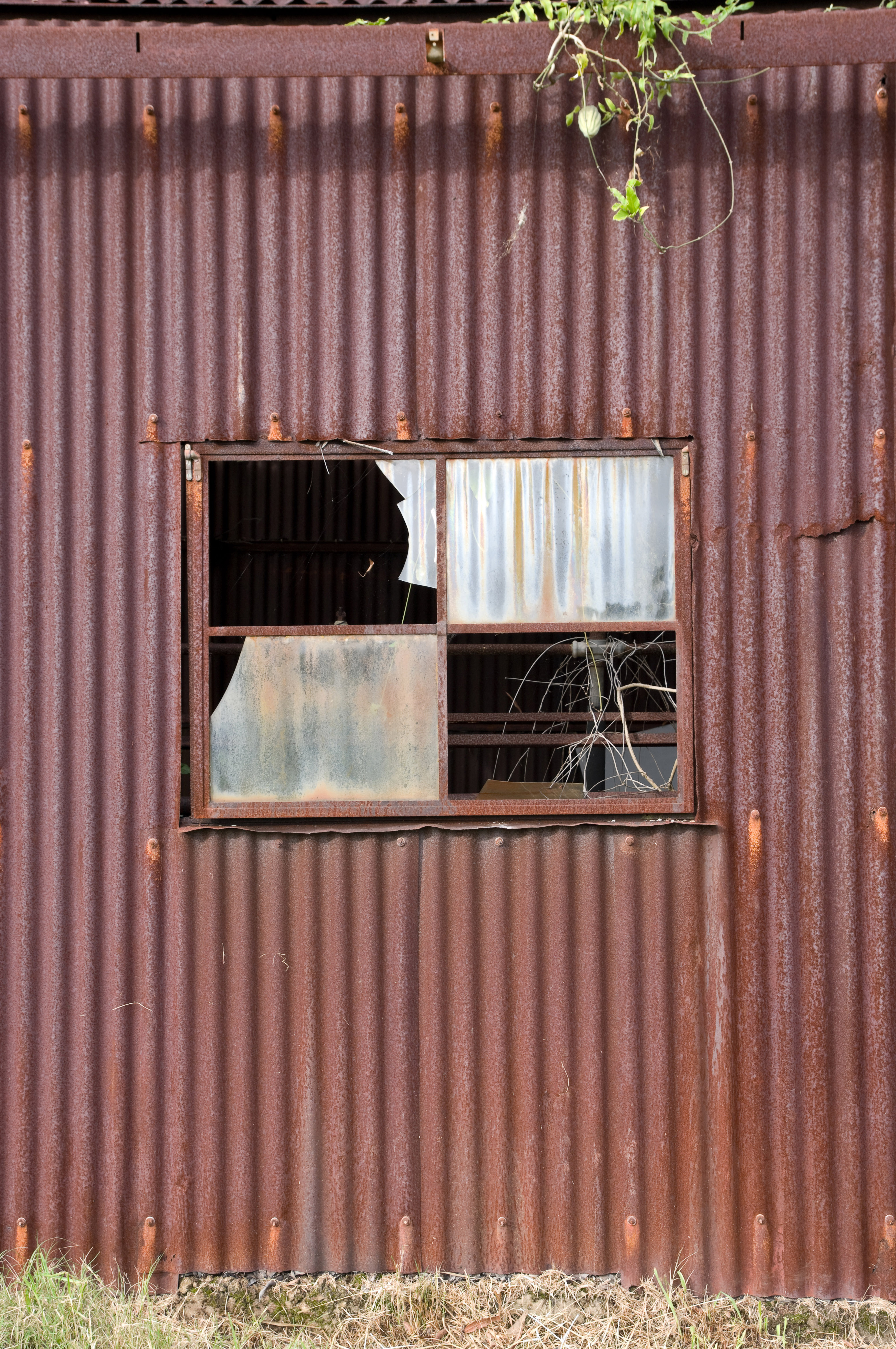 background texture photo of a corrugated iron wall