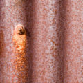 old rusty corrugated iron background with rusty screw