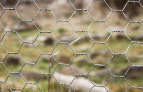 fence in the garden