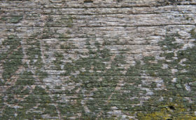 old rough wood with green paint background texture