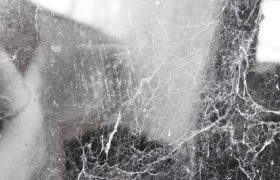 old spiderwebs on glass background texture