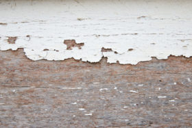 free old wood background wooden texture