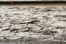 another really rough white rotting wood background texture