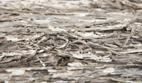 Another really rough white wood texture