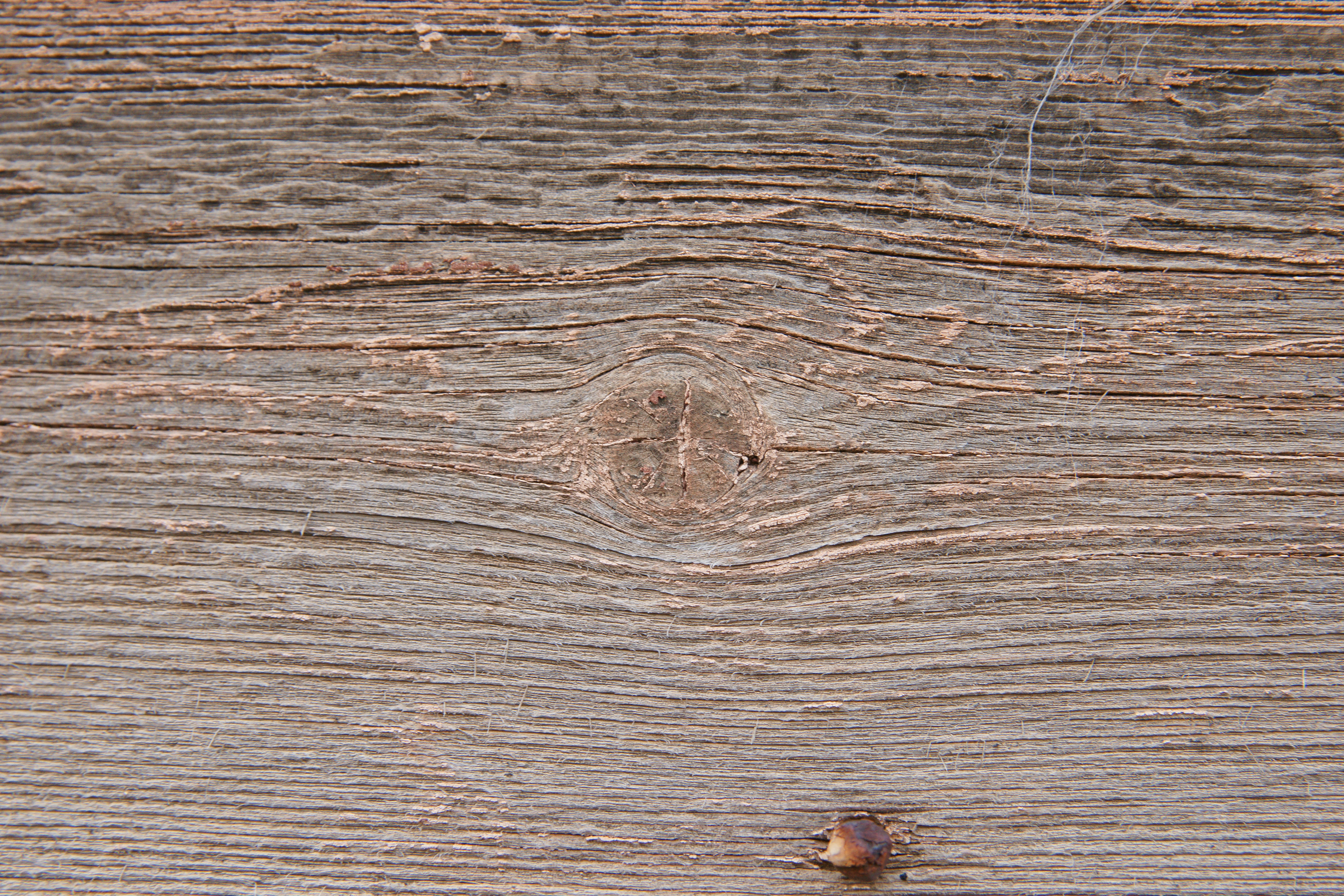 Wood texture with knot and old paint