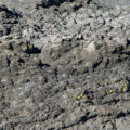 rocks at the seaside that look like a desolate moonscape