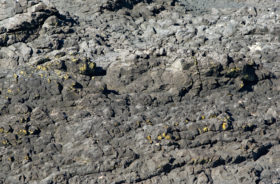 rocks that look like a desolate moonscape