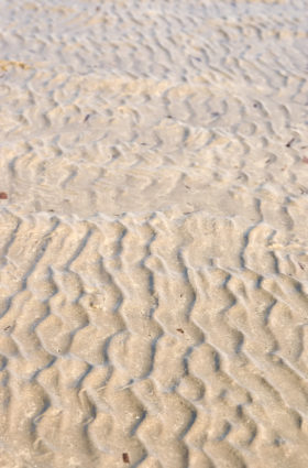 ripples in the beach sand