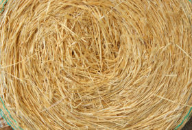 straw bale background texture