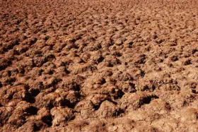 lake bed or hot desert in the sun