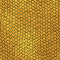 Golden Dragon Scales background