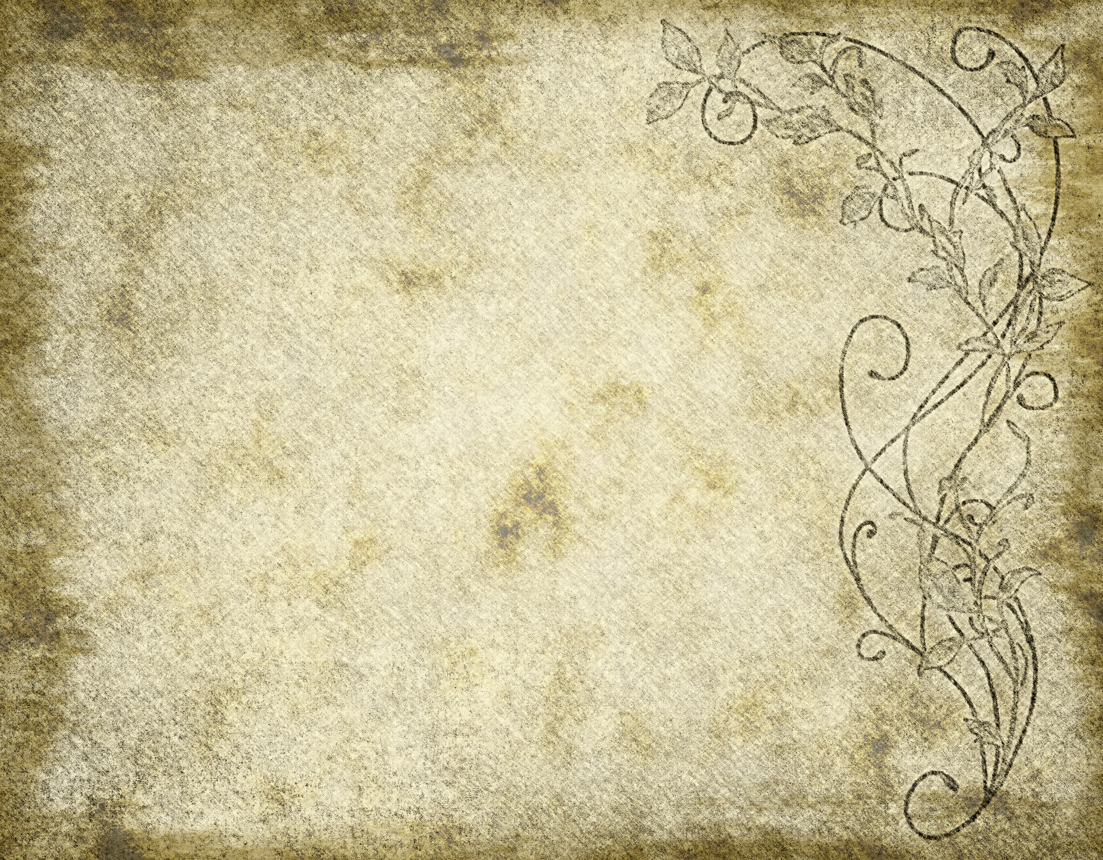 Old paper texture with floral design