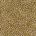 spotted leopard or jaguar skin or fur