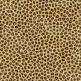 Fur of a Leopard Background Texture